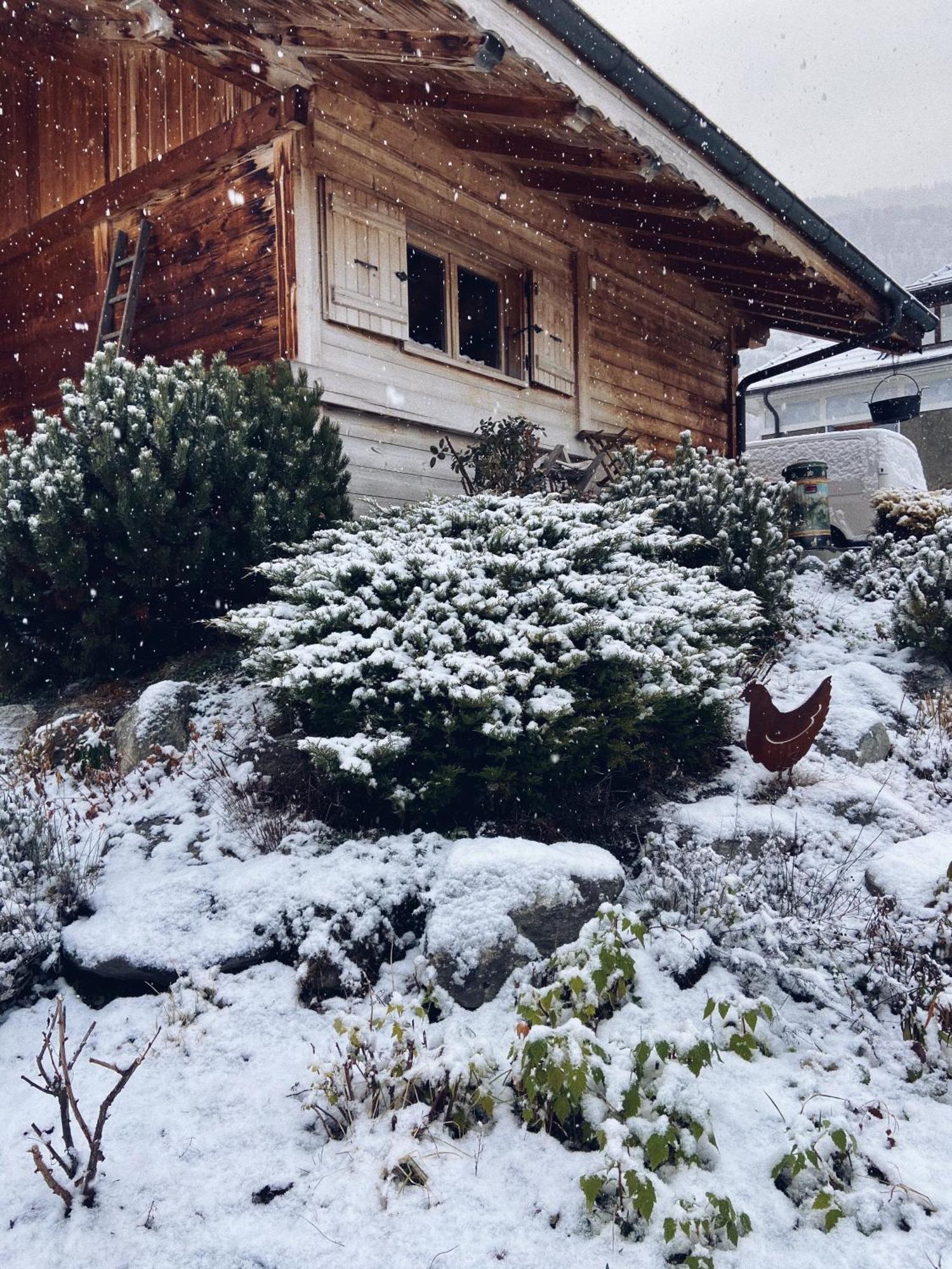 Grand Chalet A La Montagne Бур-Сен-Морис Экстерьер фото